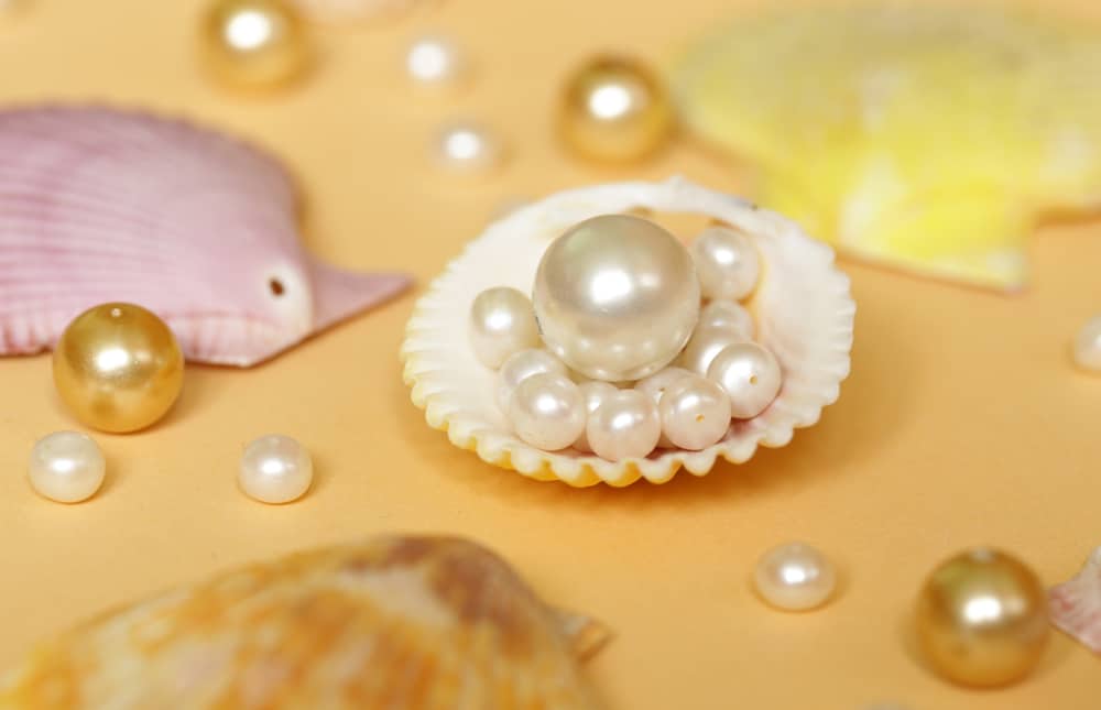  Different Types Of Pearls And Shells