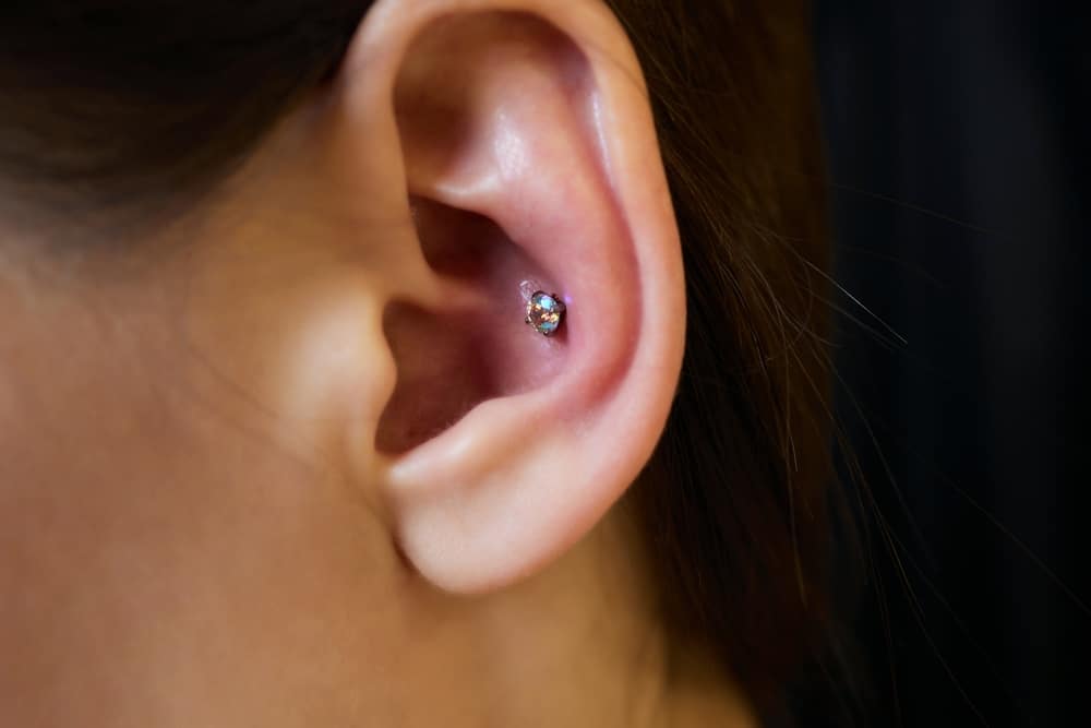 Piercings On An Ear Conch And Helix Piercings Close Up